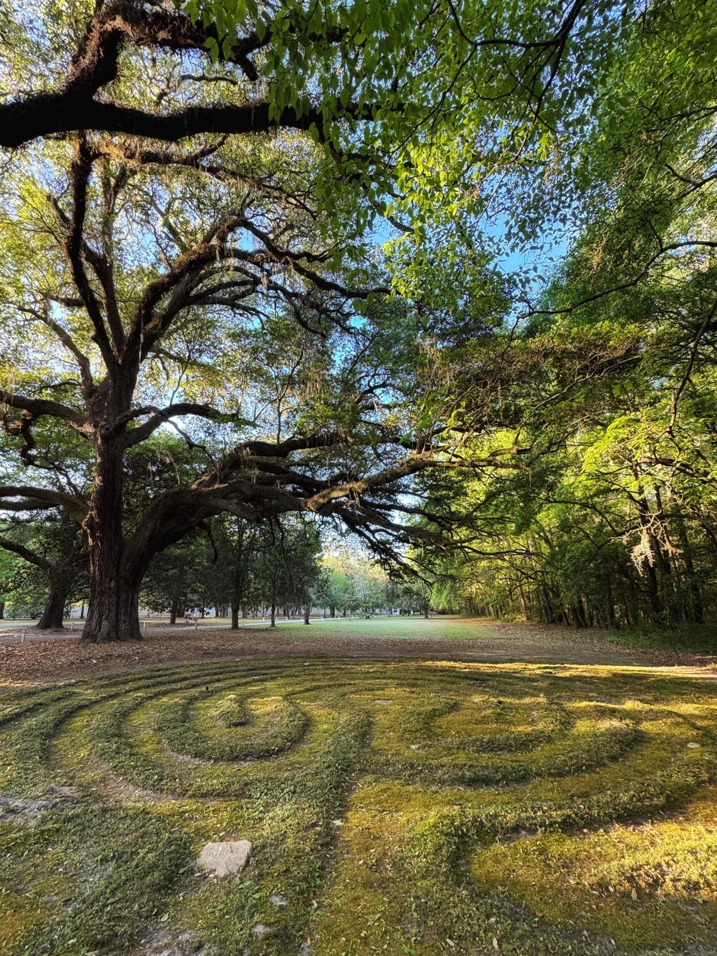 Privileged to be teaching at the beautiful eco-spirituality-focused Springbank Retreat Center in Kingstree, SC this weekend with this beautiful living labyrinth situated under a large live oak tree. This is a beautiful place to retreat in incredibly 