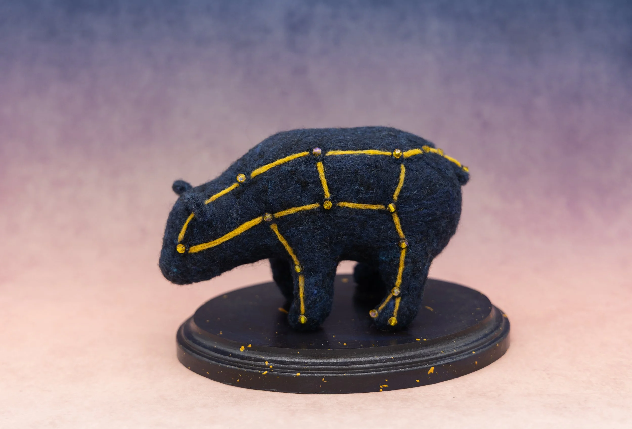 DSD_ursa1.jpg