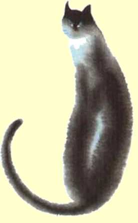 cat.jpg