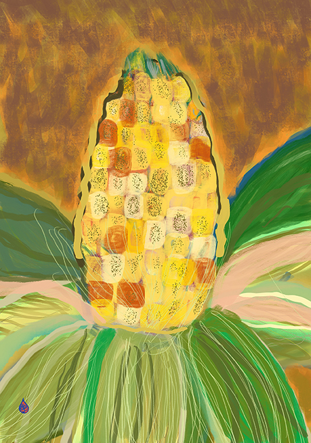 MaraClawson_Cornfield.jpg