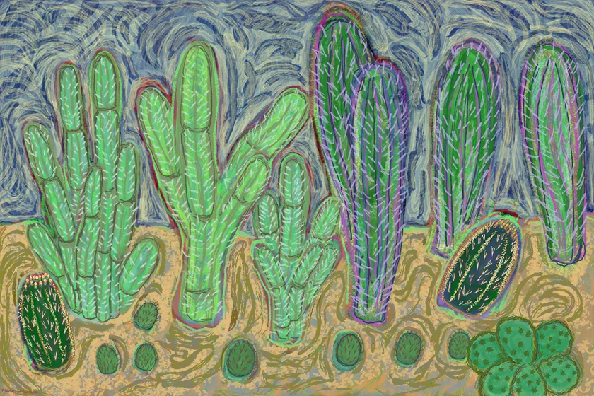 The_Dry_Of_Prickly_CC_Test.jpg