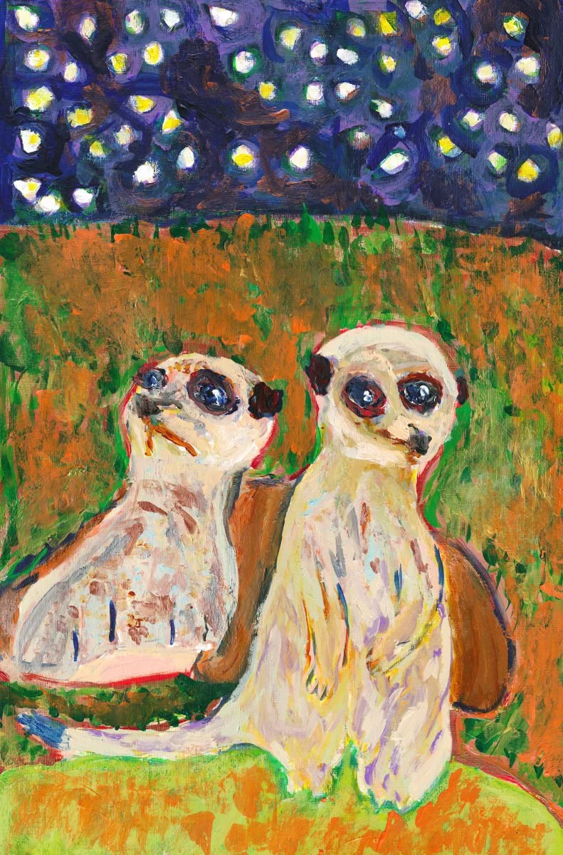 Meerkat Outing Under the Stars
