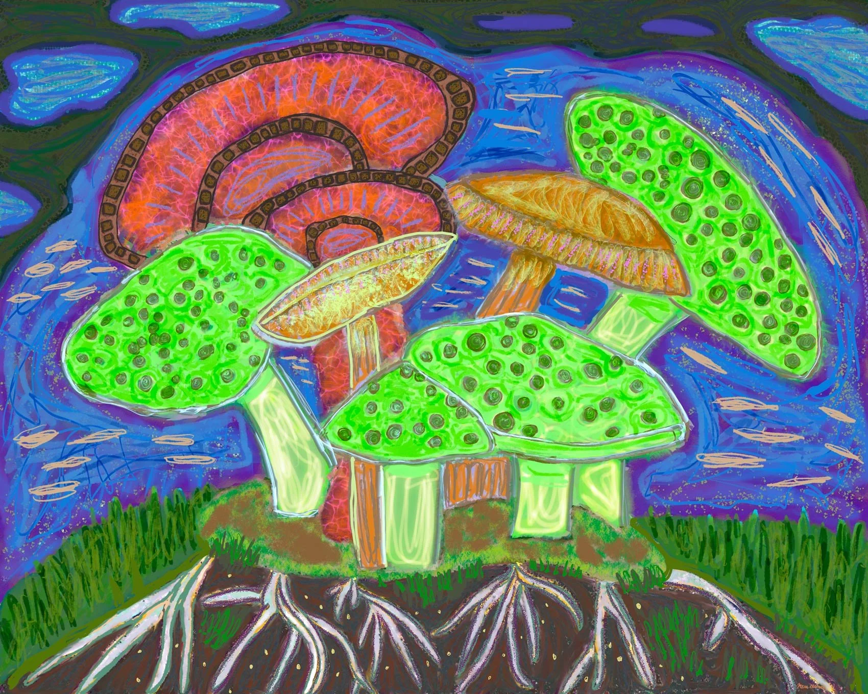 Mushroom Buds, 2024
