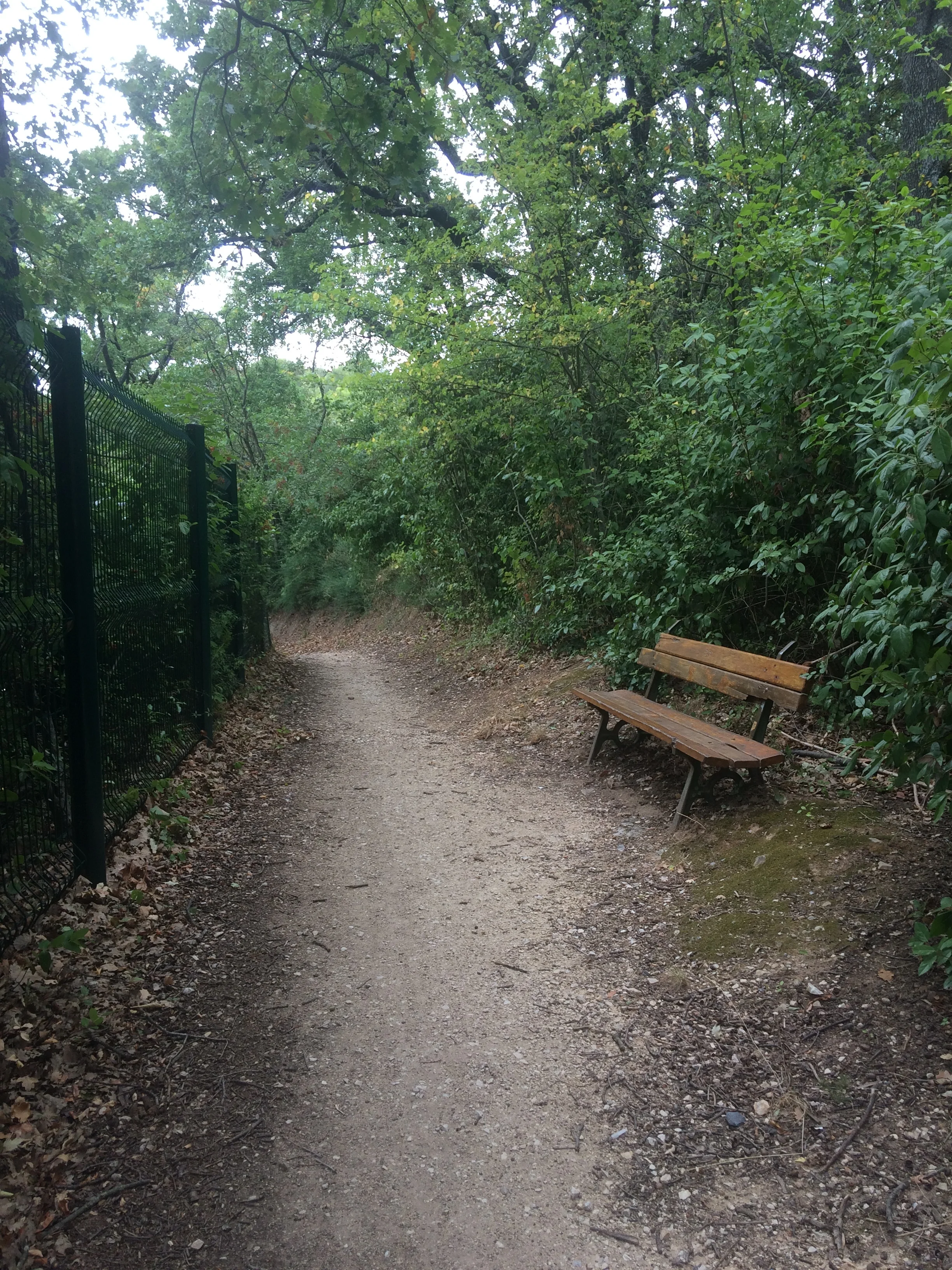 my path to the studio