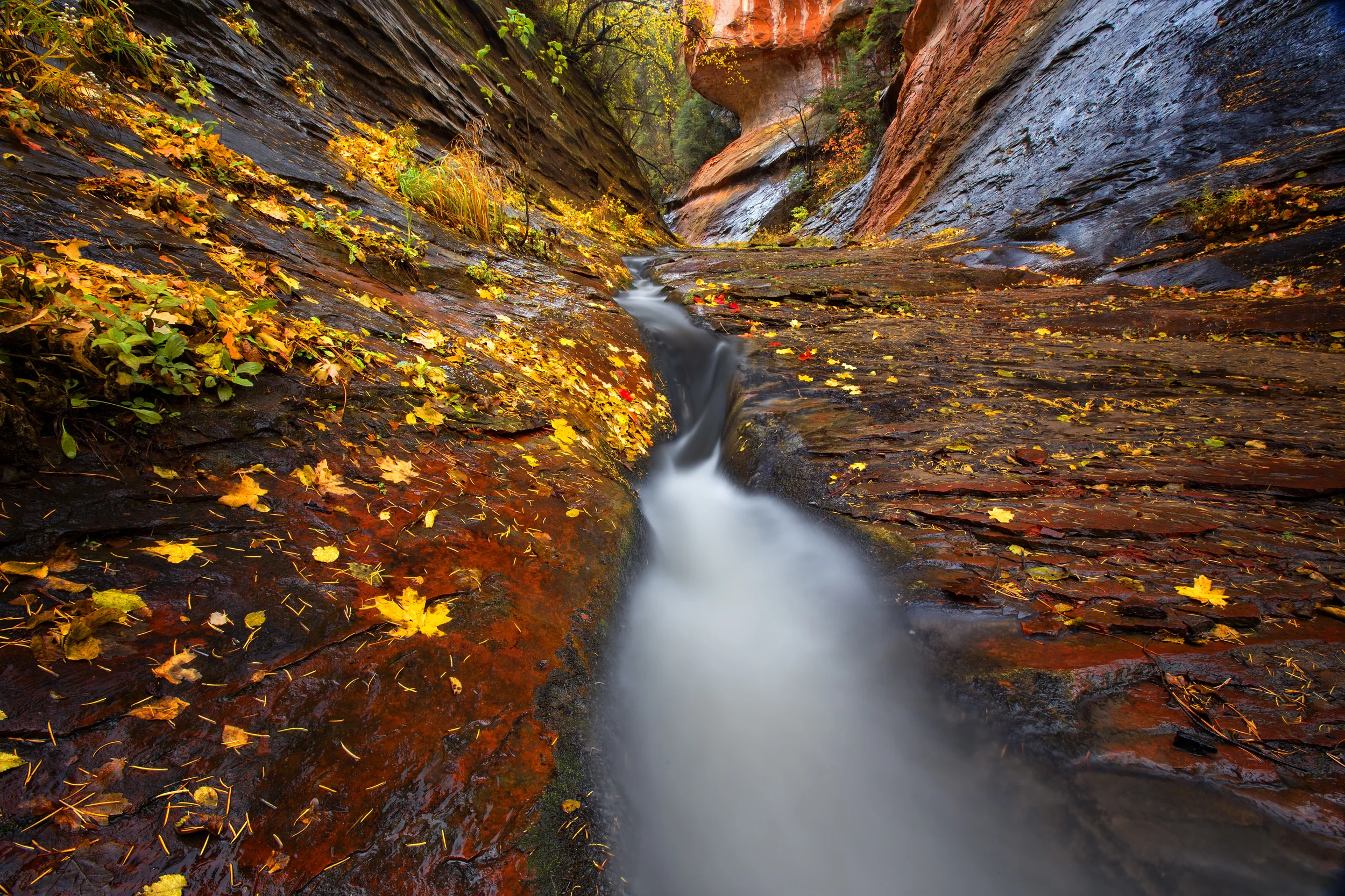 Fall into the Vortex