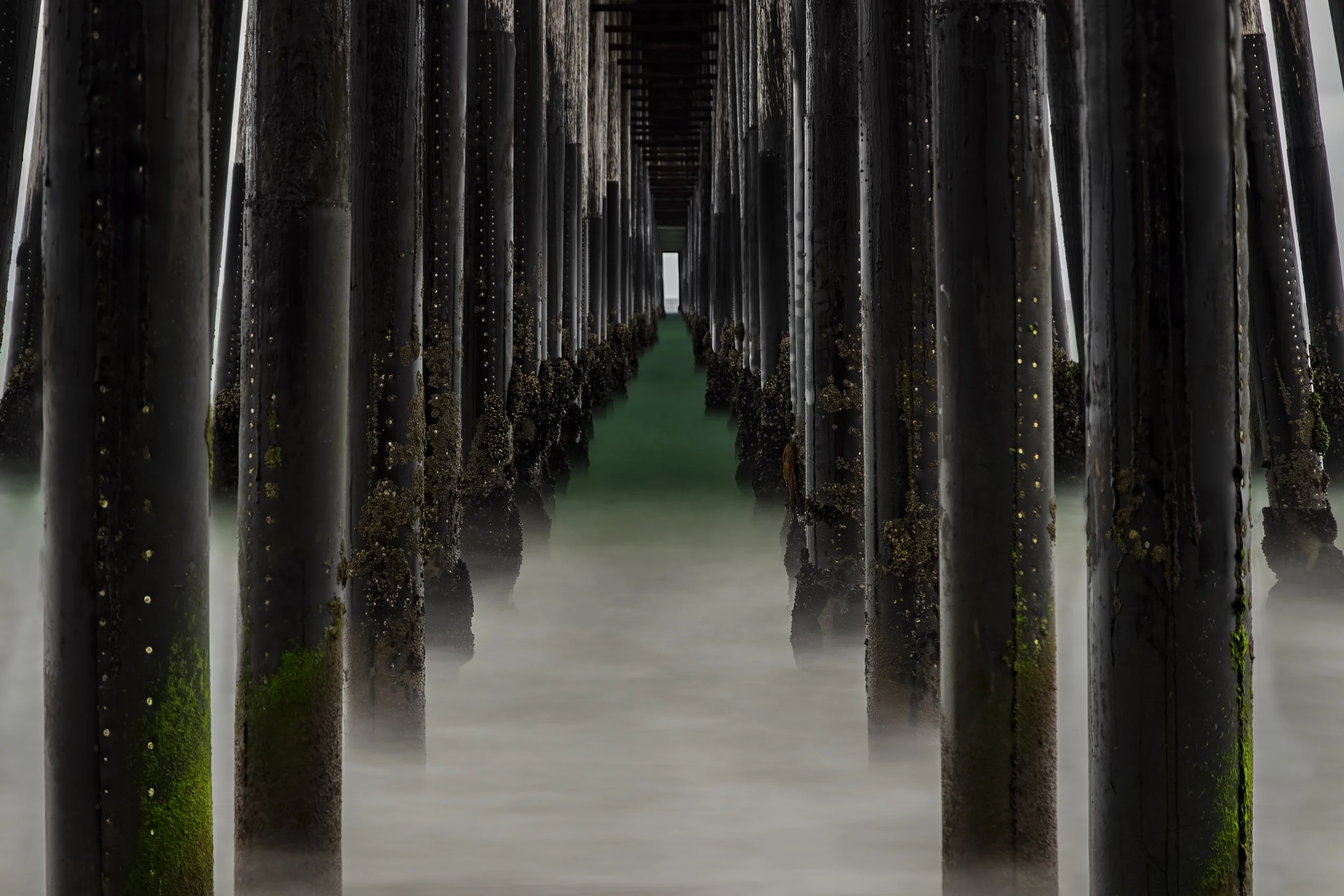 piershot1 - crop2.jpg