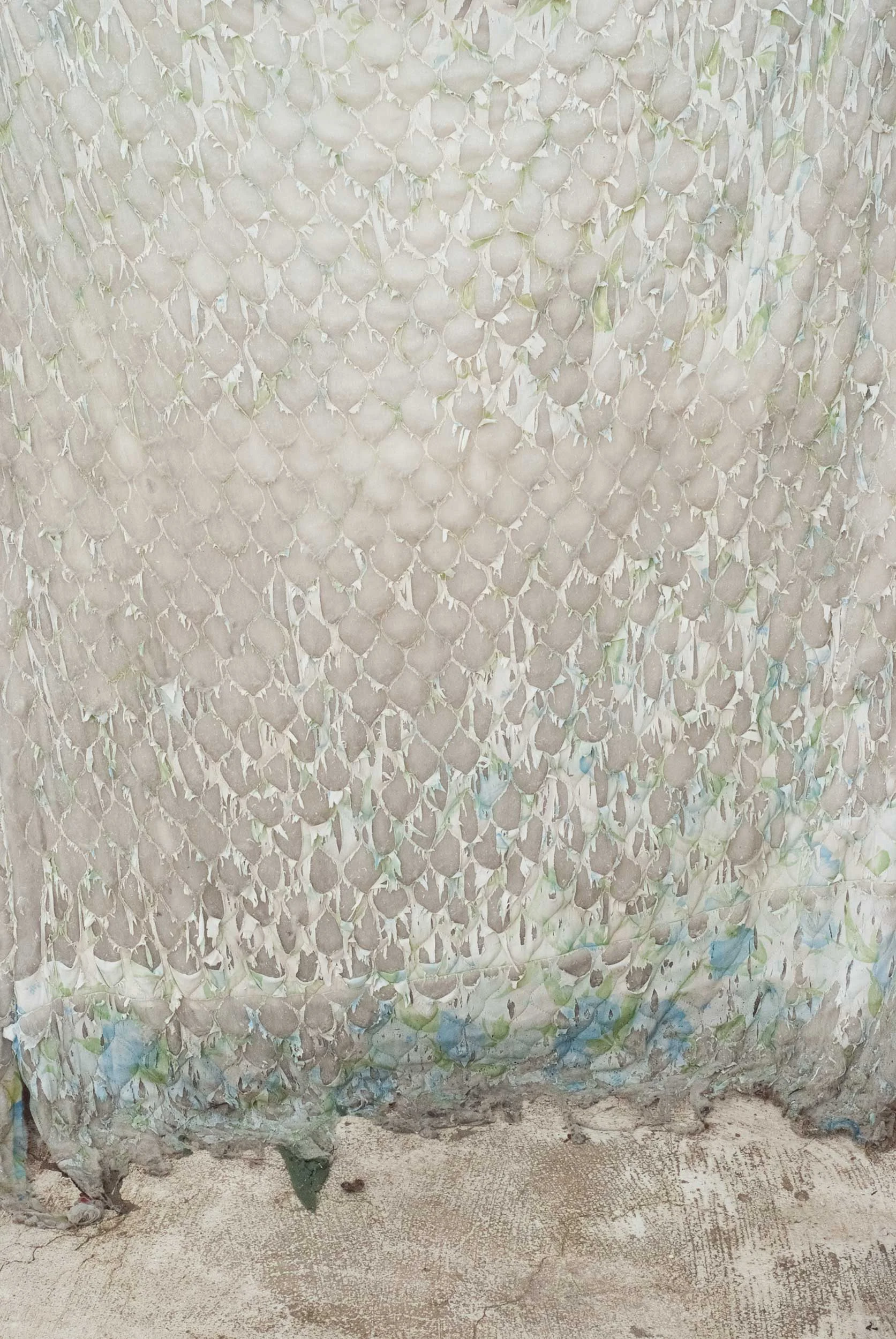 Curtain