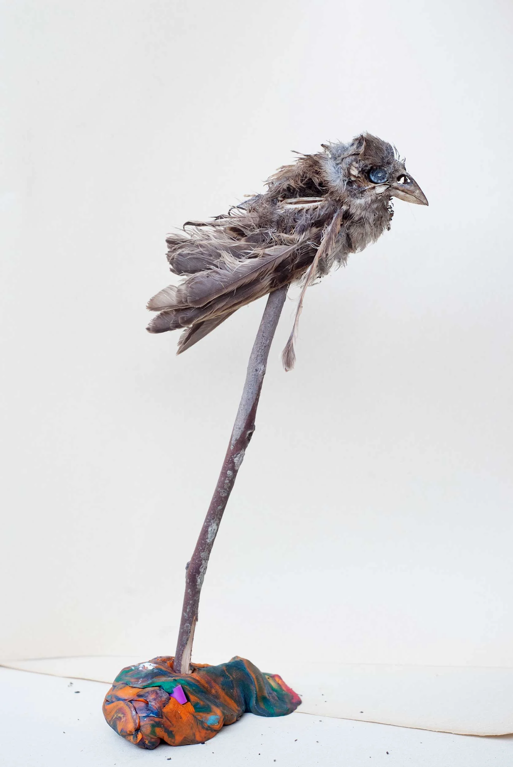 Bird on Stick