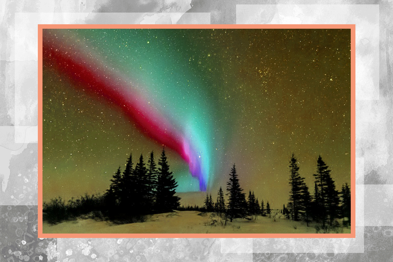 Everything Is Illuminated.