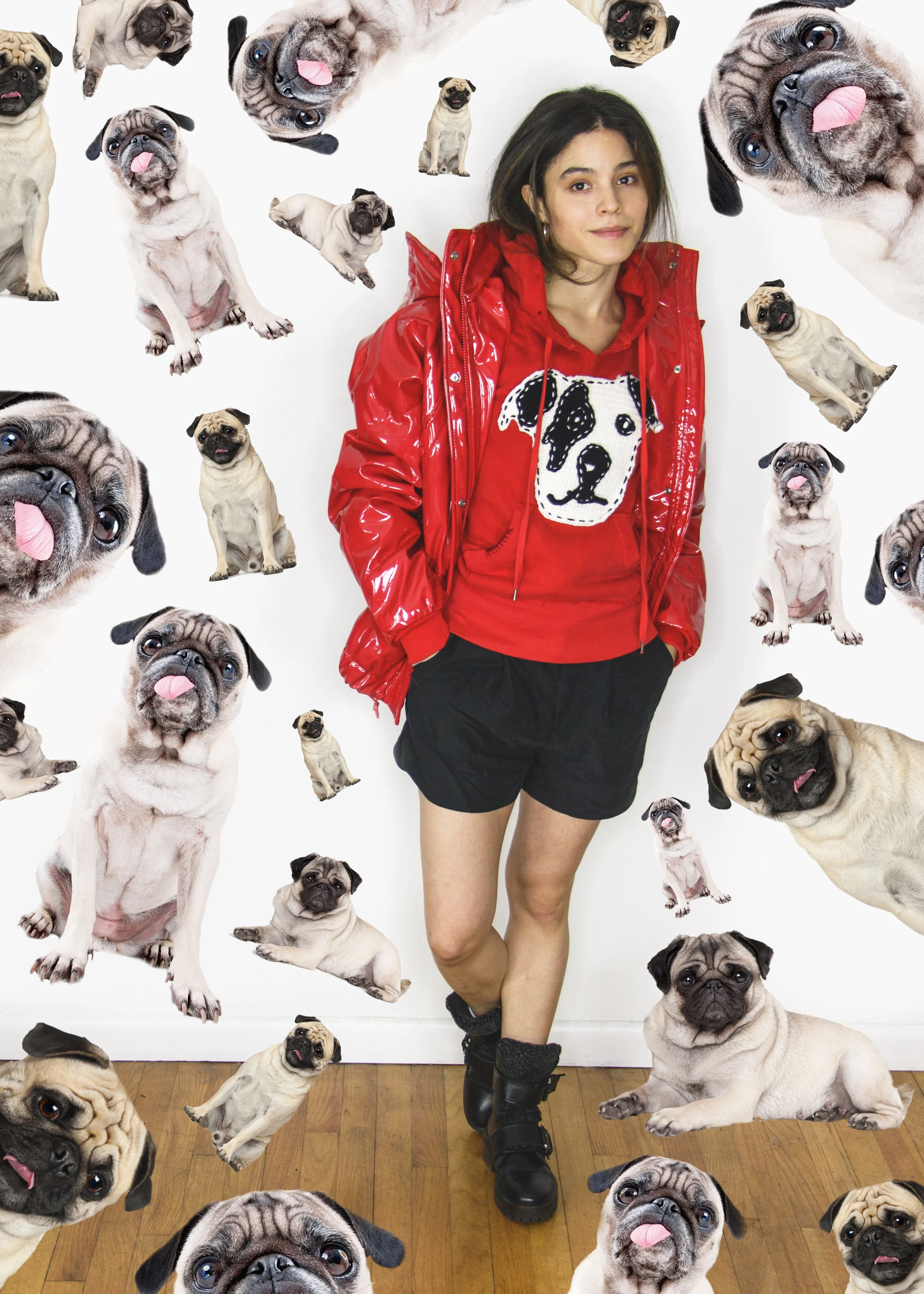 Who let the dogs out?