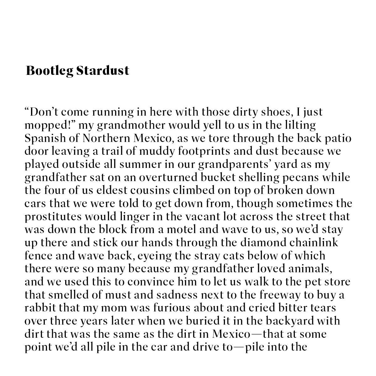 bootleg stardust-pg1.jpg