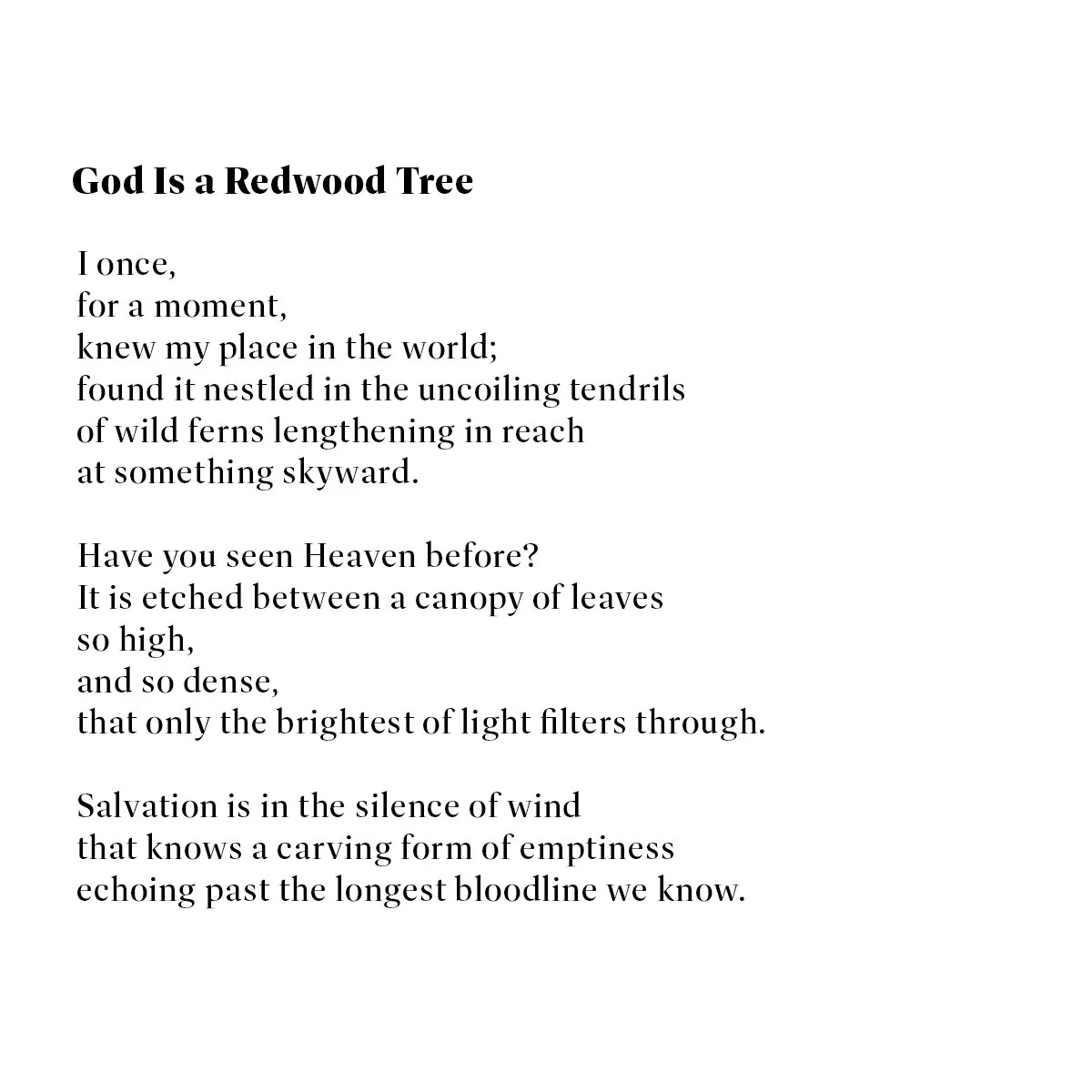 Redwood Tree-pg1.jpg