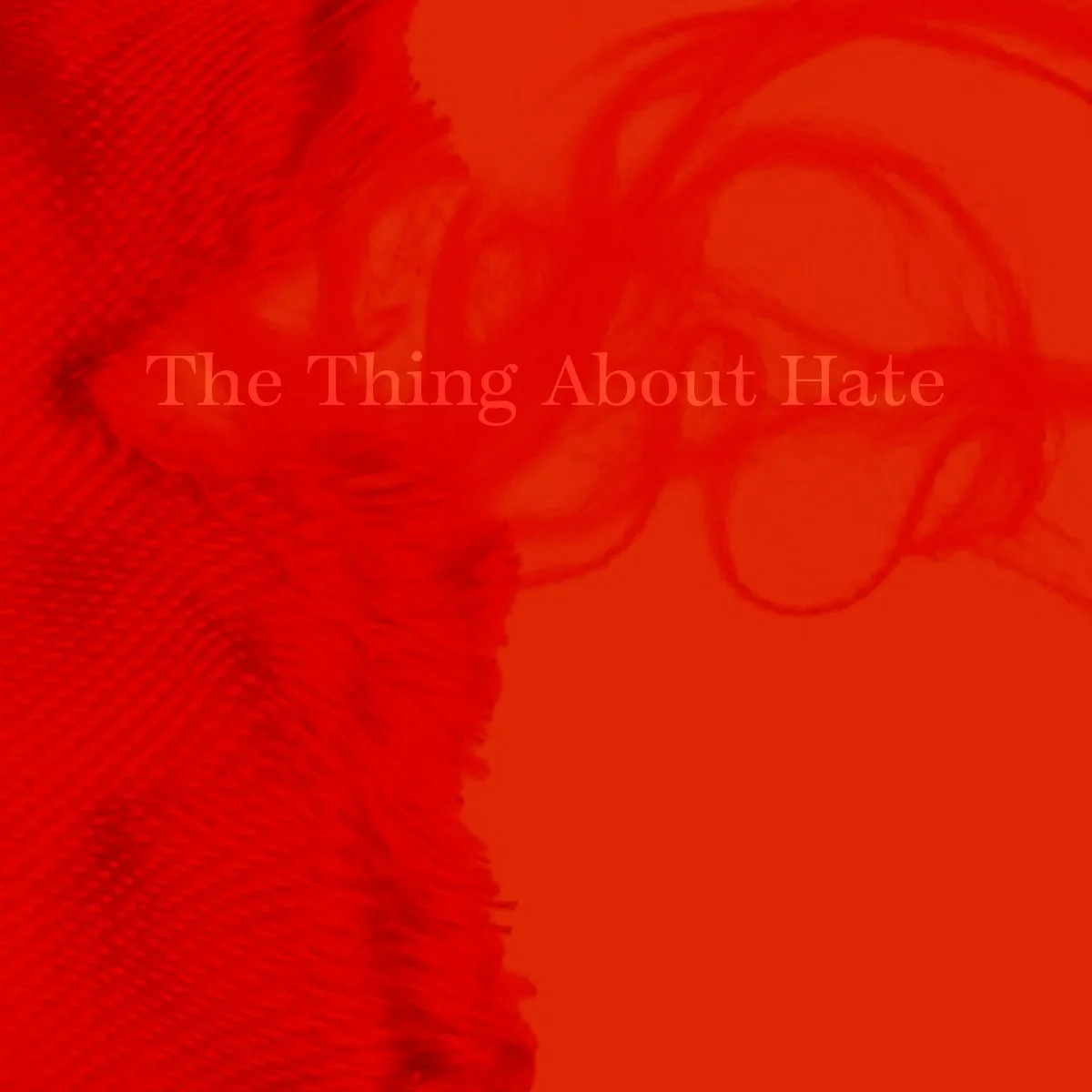 the thing about hate-cvr.jpg
