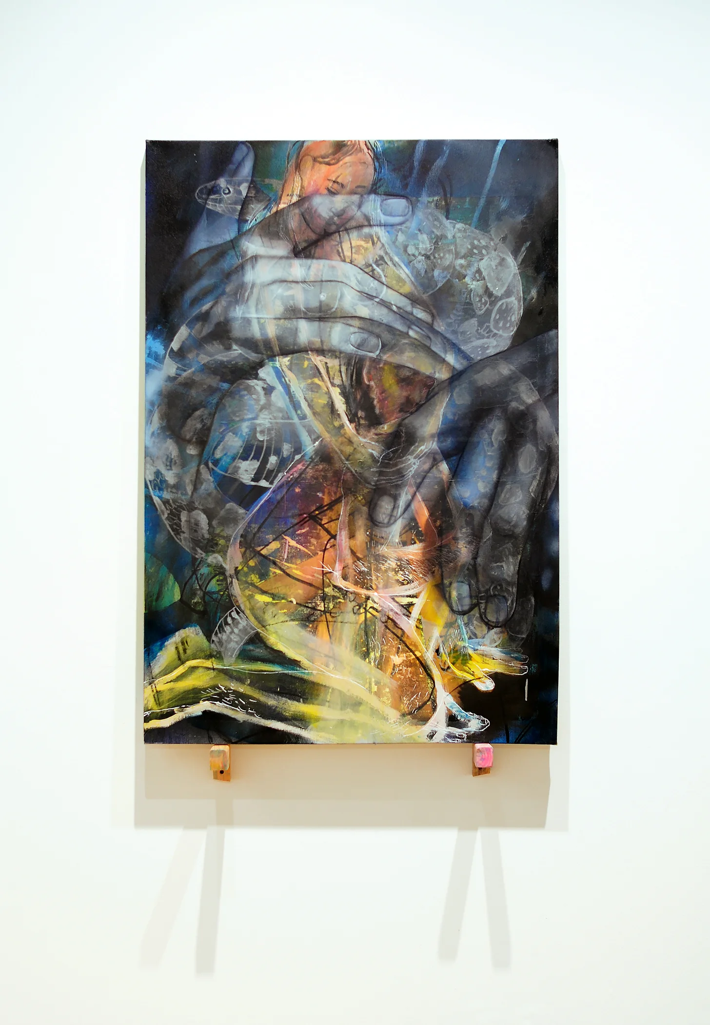 Snake , Oil, ink, and photo transfer on canvas, 37” x 54”, 2015