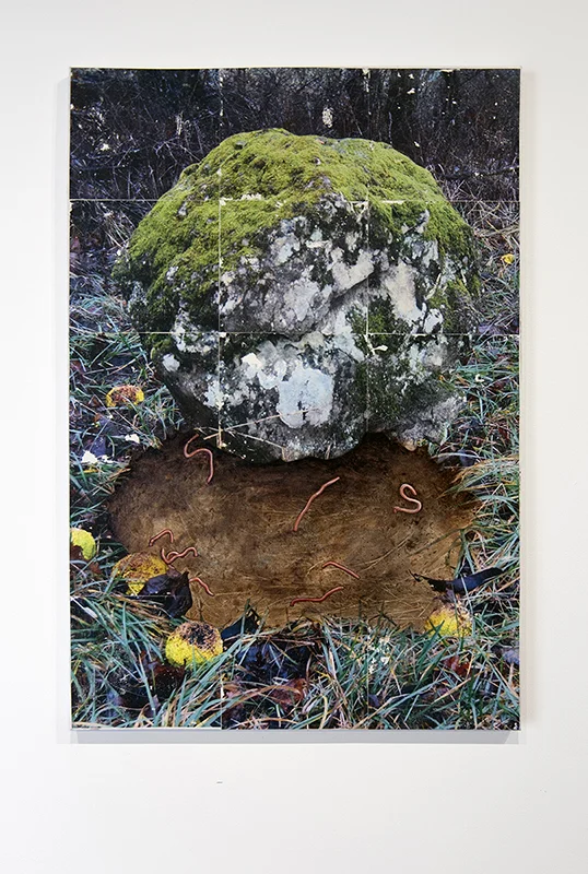 Roll over the Rock , Oil and transfer on canvas, 54” x 37”, 2016