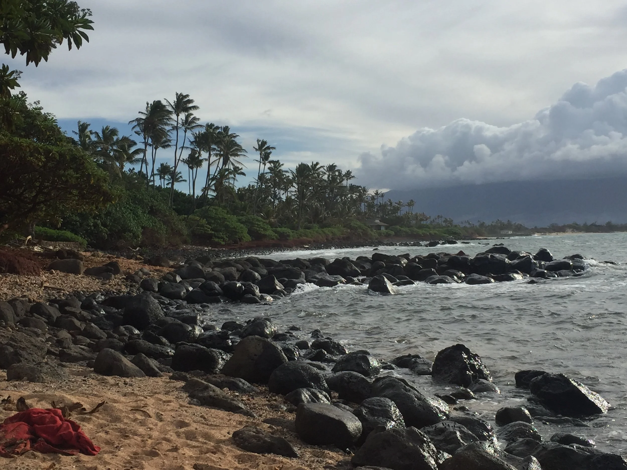 Thanksgiving, Black Friday and Belly Dancing too!