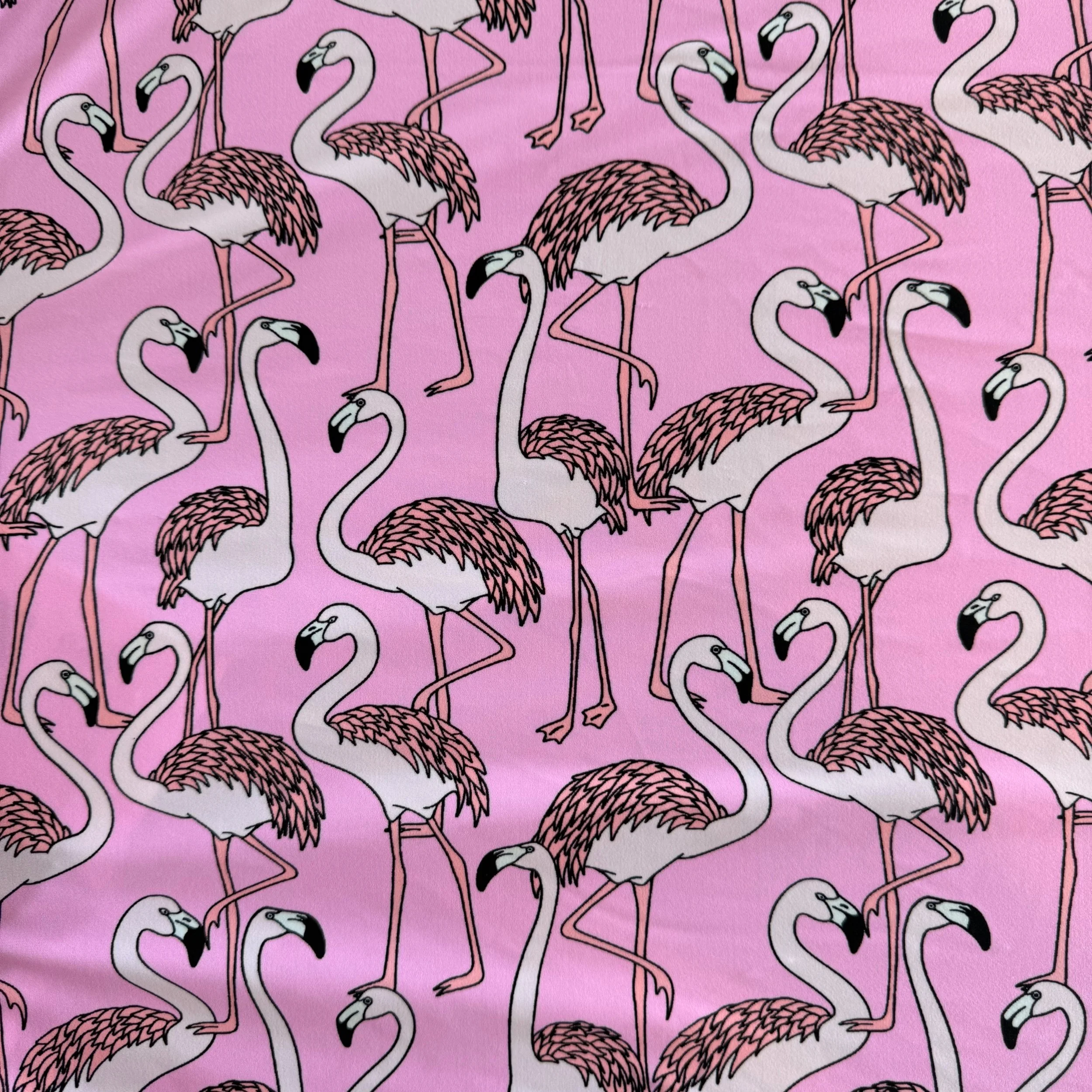 Flamingo.jpg