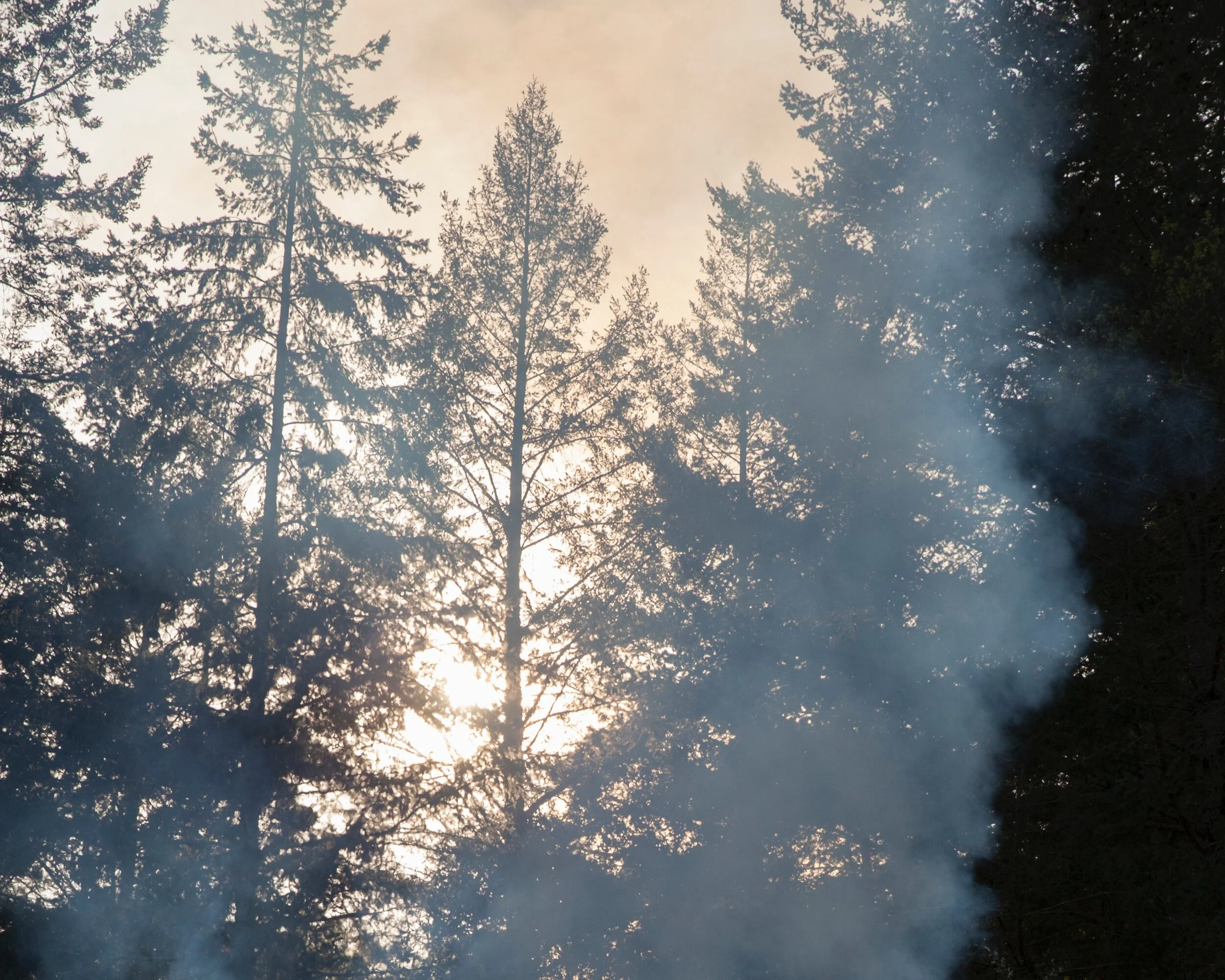 IMG_4262-1-2015-2+copy.jpg