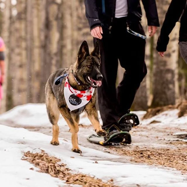 2017 was one of our busiest year&rsquo;s yet and we can&rsquo;t believe it&rsquo;s almost time to transition into 2018! This past year, our small but highly nimble team hosted 27 large events and managed 2 community brands on an ongoing basis. We are