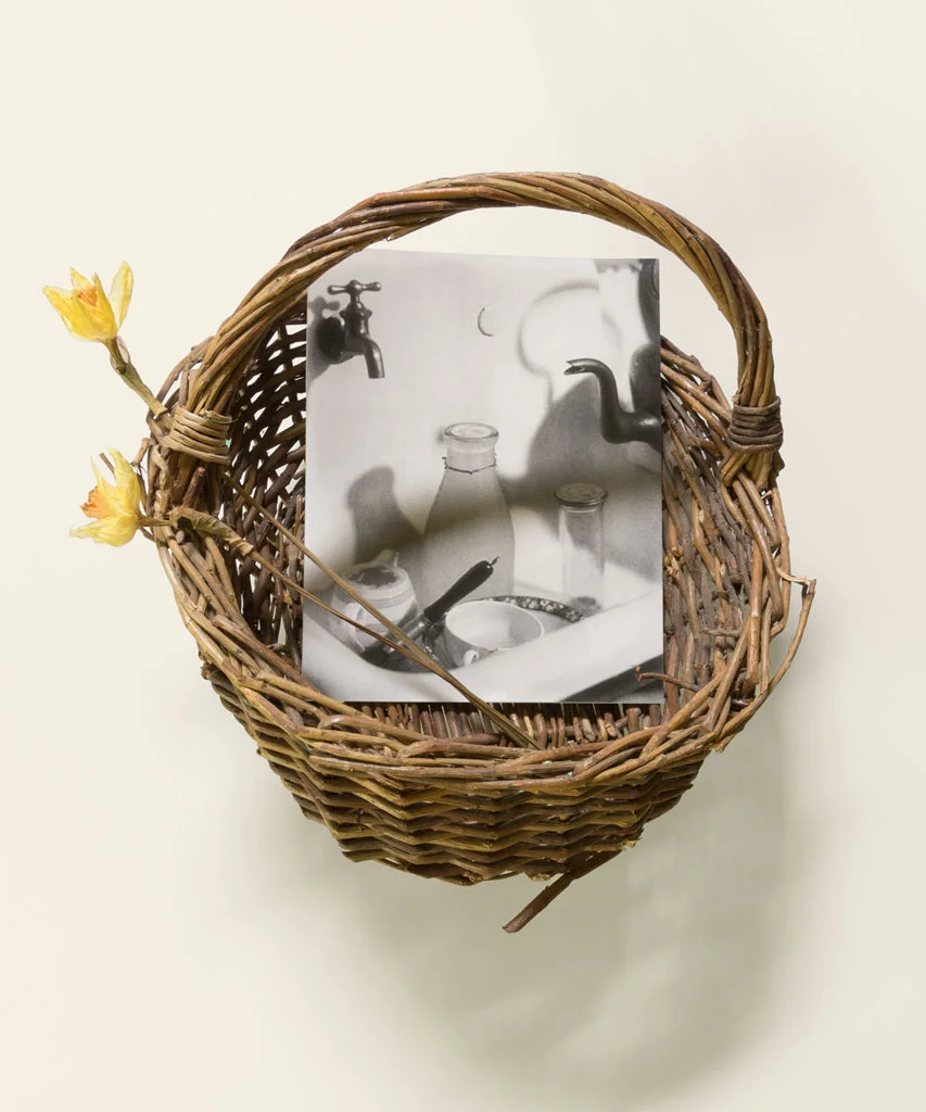 A Margret Watkins(1919) In A Basket