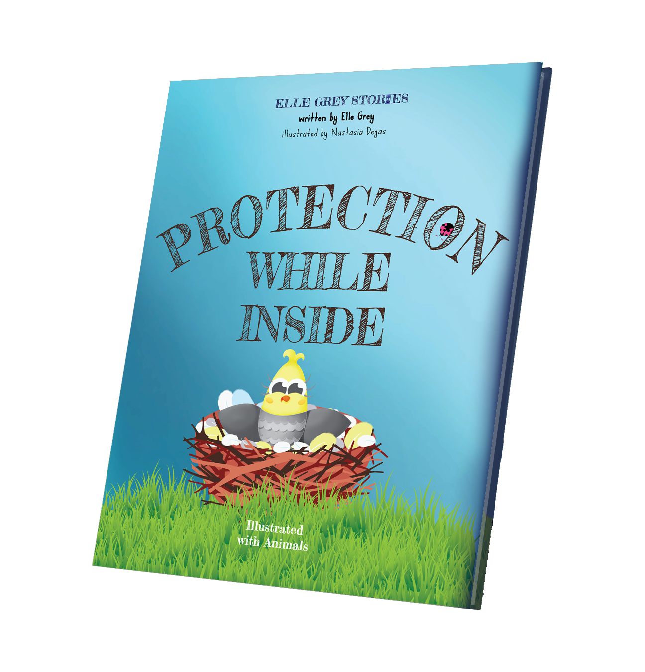 PROTECTION WHILE INSIDE