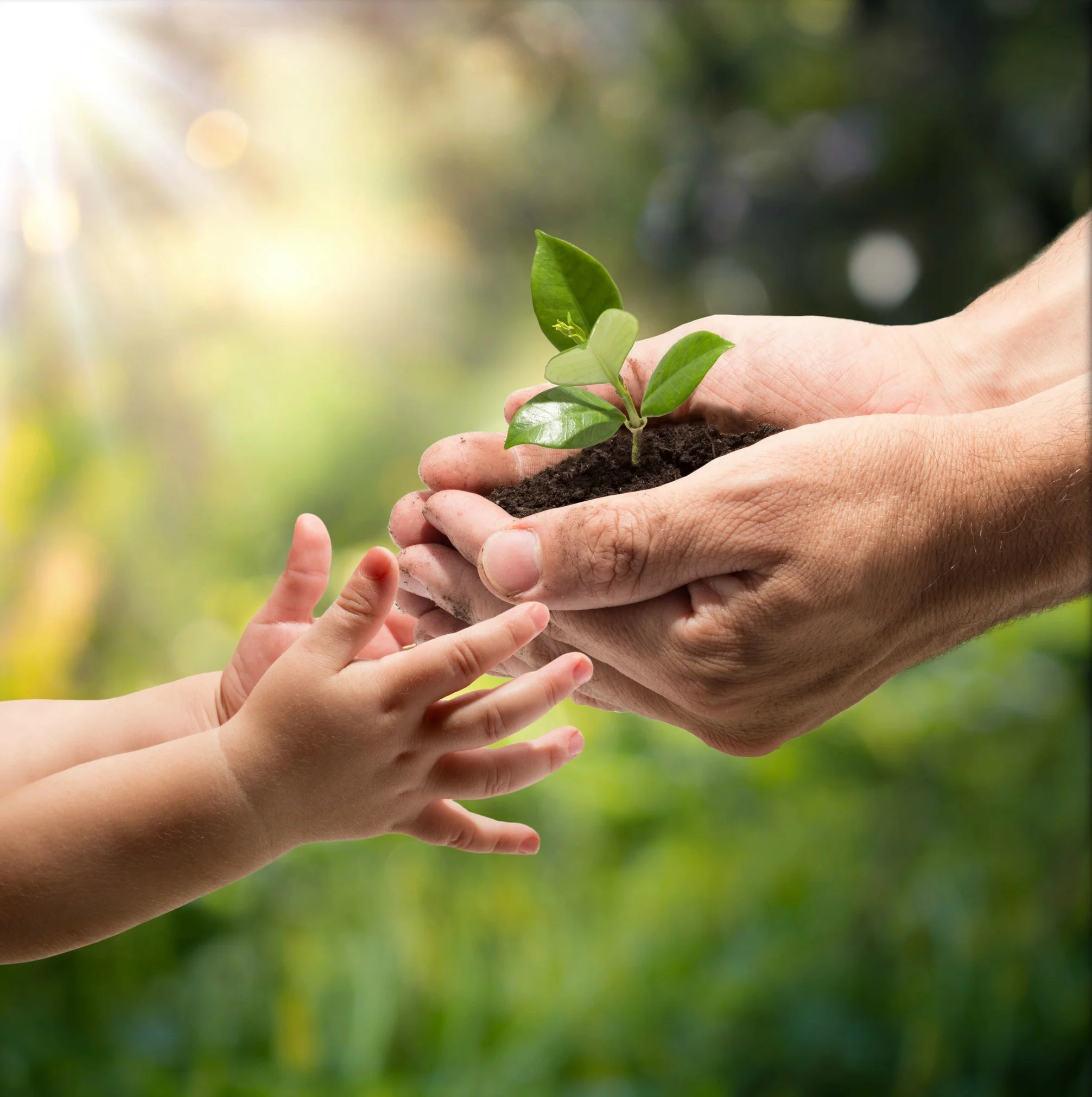 giving-life-to-the-next-generation.jpg