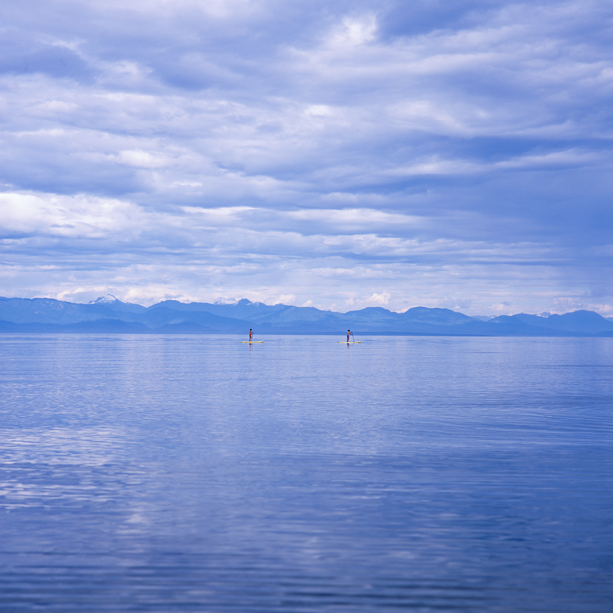 S.U.P. [Williams Beach, Vancouver Island]
