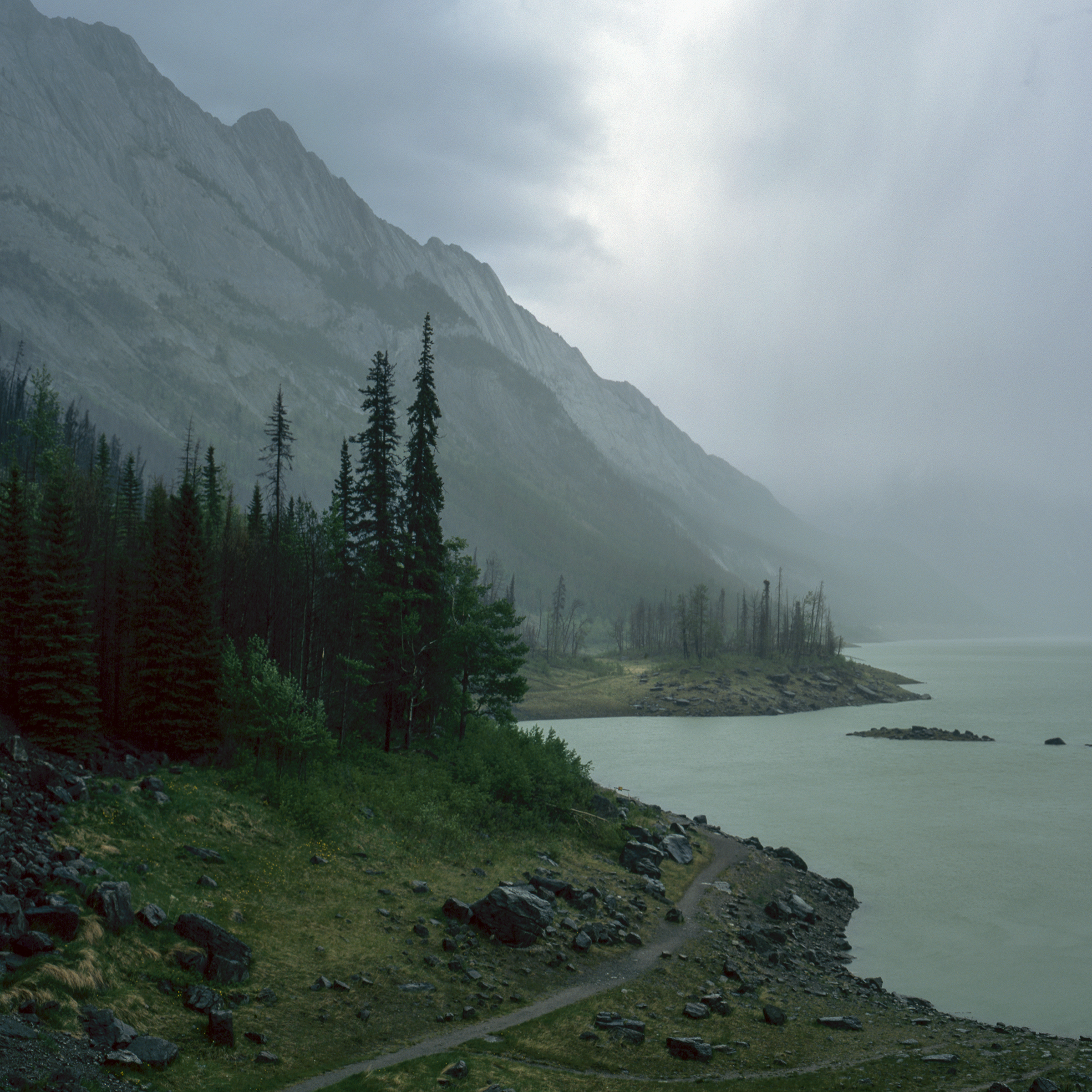 Medicine Lake [Jasper National Park, Alberta]