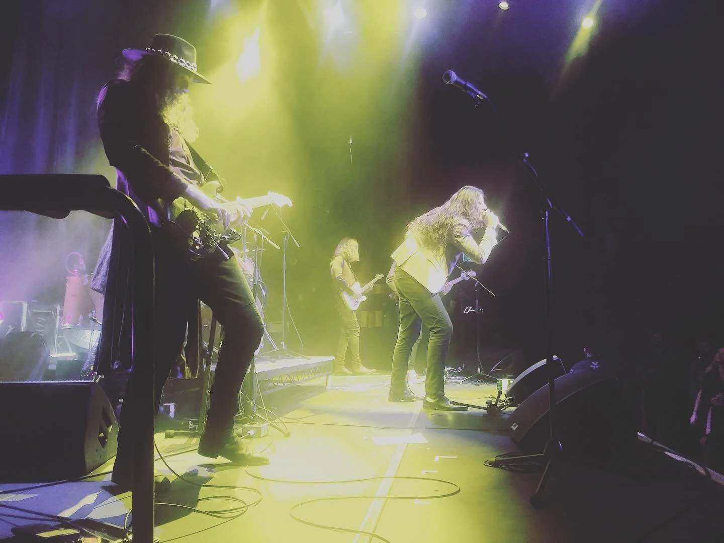 the stage is an animal kingdom.