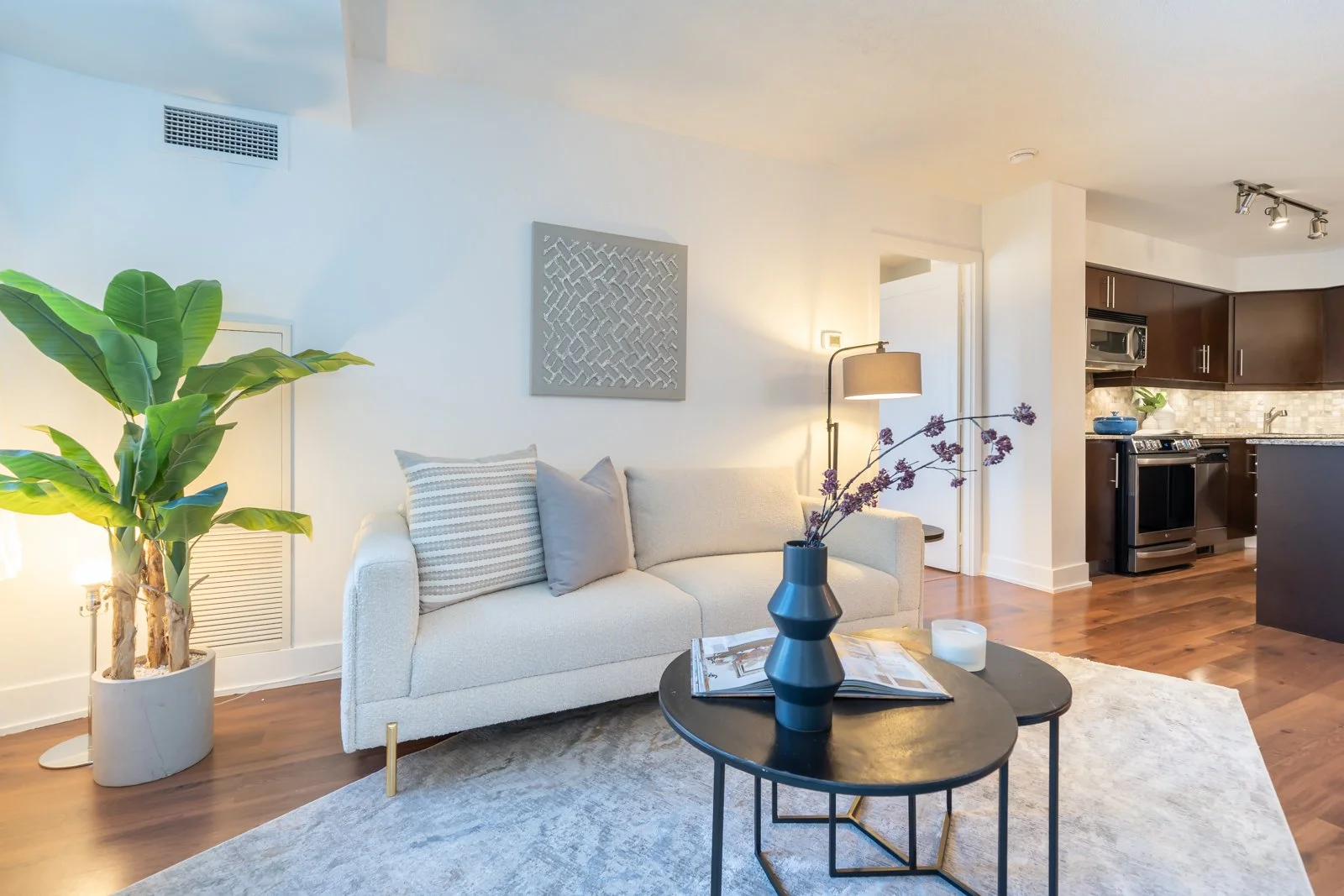 Video — S&J Estate Photos