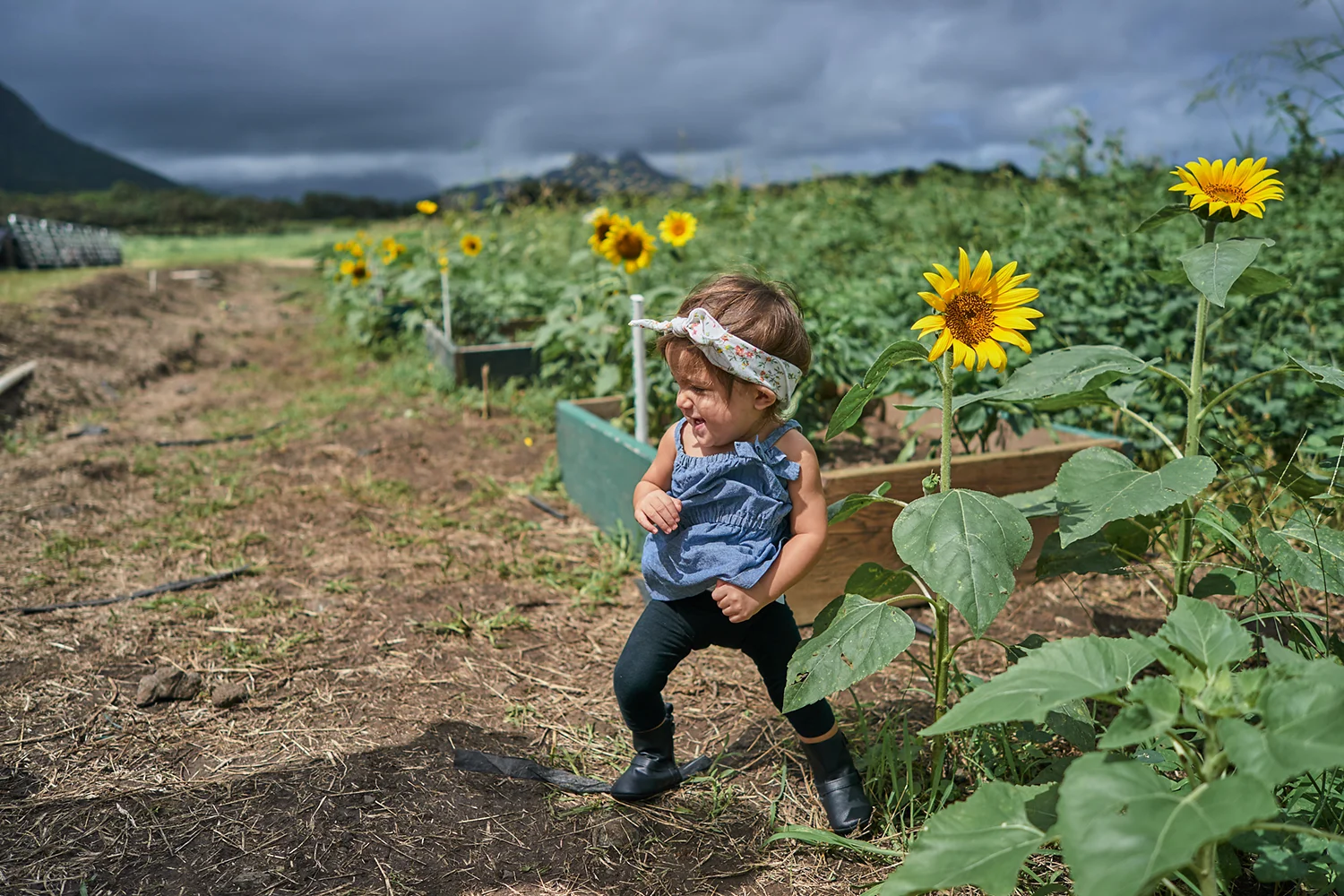 2018 Pumpkin Patch - 008 Edited Copy.jpg