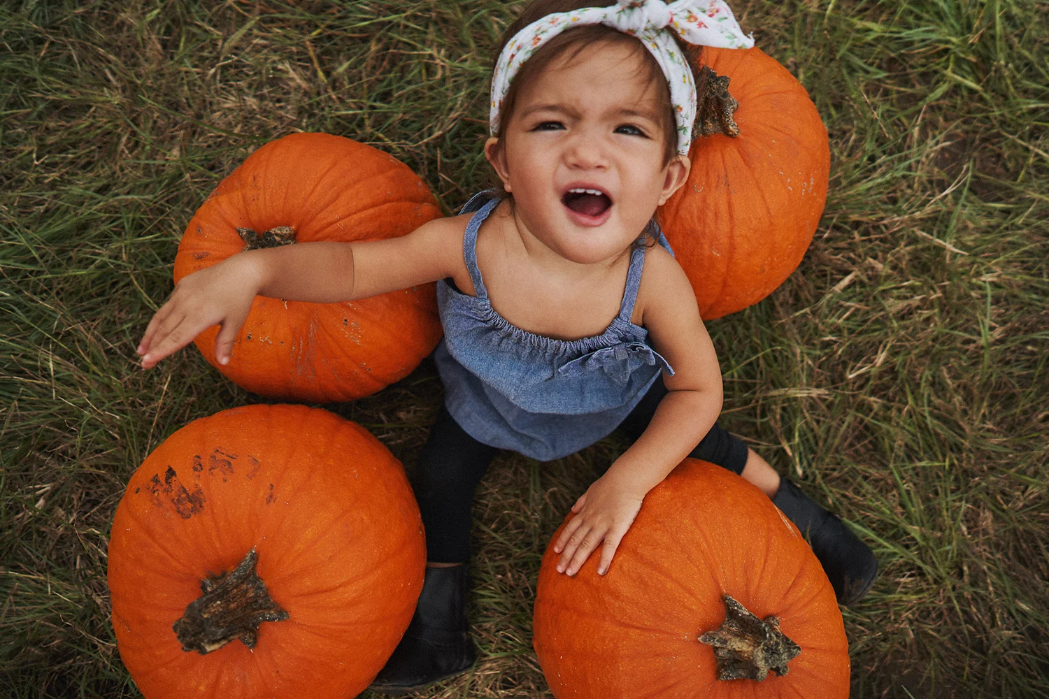 2018 Pumpkin Patch - 062 Edited Copy.jpg