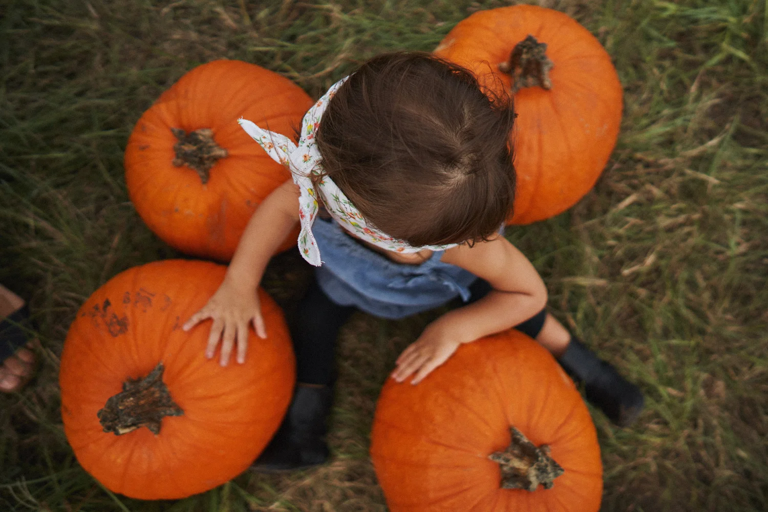 2018 Pumpkin Patch - 060 Edited Copy.jpg