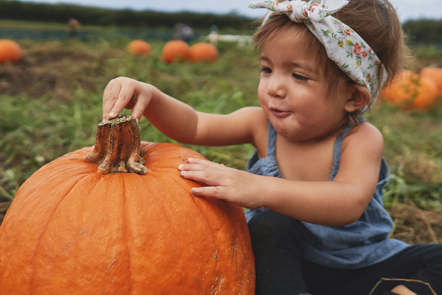 2018 Pumpkin Patch - 070 Edited Copy.jpg
