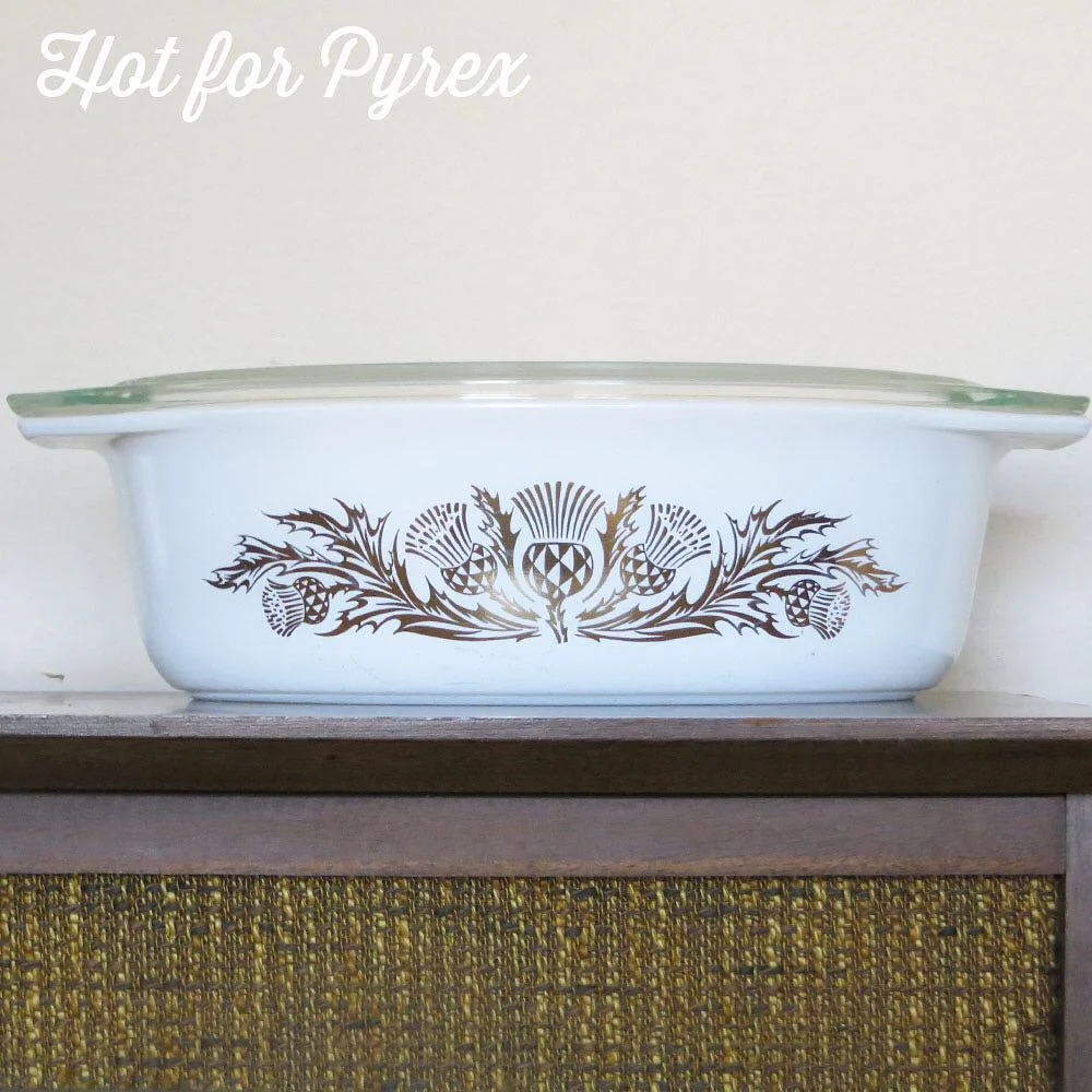Day 65 of 100 - Sometimes a pattern is so stunning, it only needs a blank canvas to shine from. The golden thistle is that pattern for me - a simple flower design with cool checkerboard detail on a white painted backdrop. Sweet simplicity! My dream is to find the red with gold version. #hotforpyrex #pyrexporn #rarepyrex #pyrexproblems #pyrexlove #love #pyrexpassion #htfpyrex #pyrex100 #100hfp