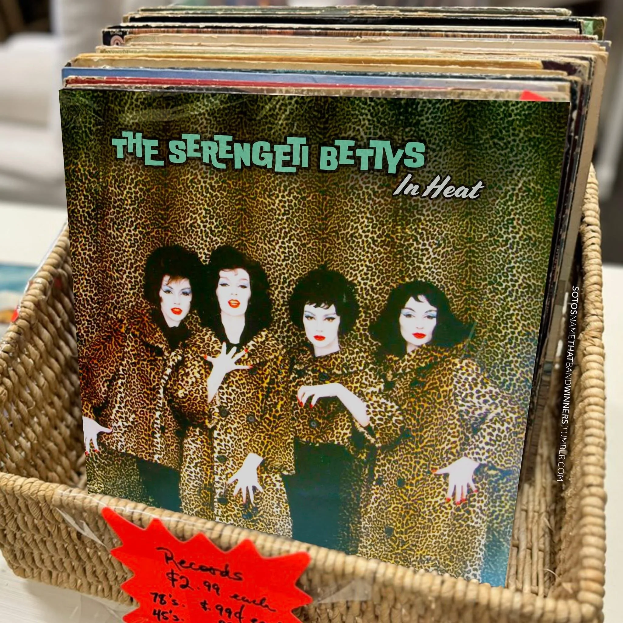  Band Name Winner “The Serengeti Bettys”:  Lesly Pyle  Album Name Winner “In Heat”:  Wayne Davis  