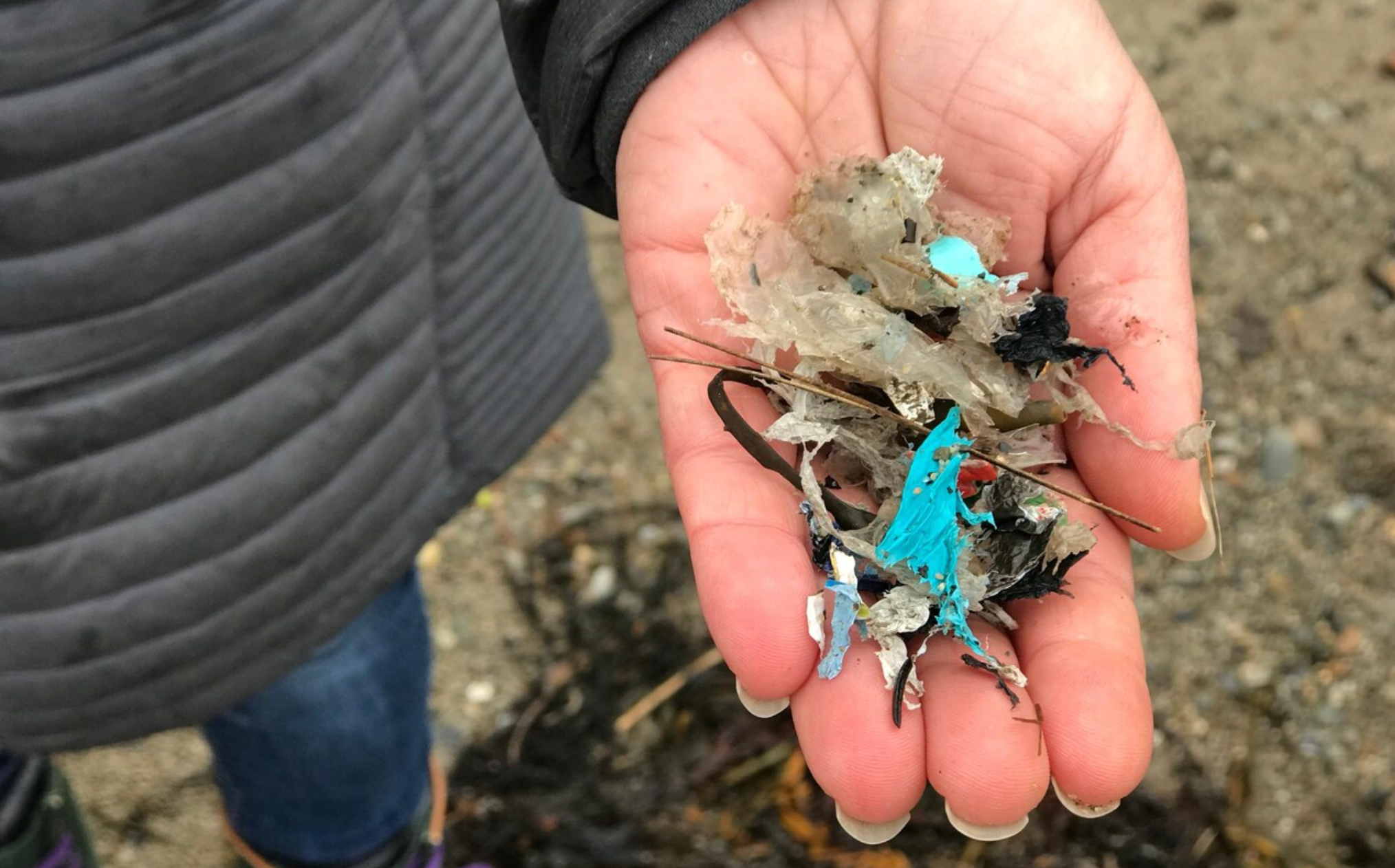 UK plastic waste washes up on unspoiled Maine island after falling into the sea