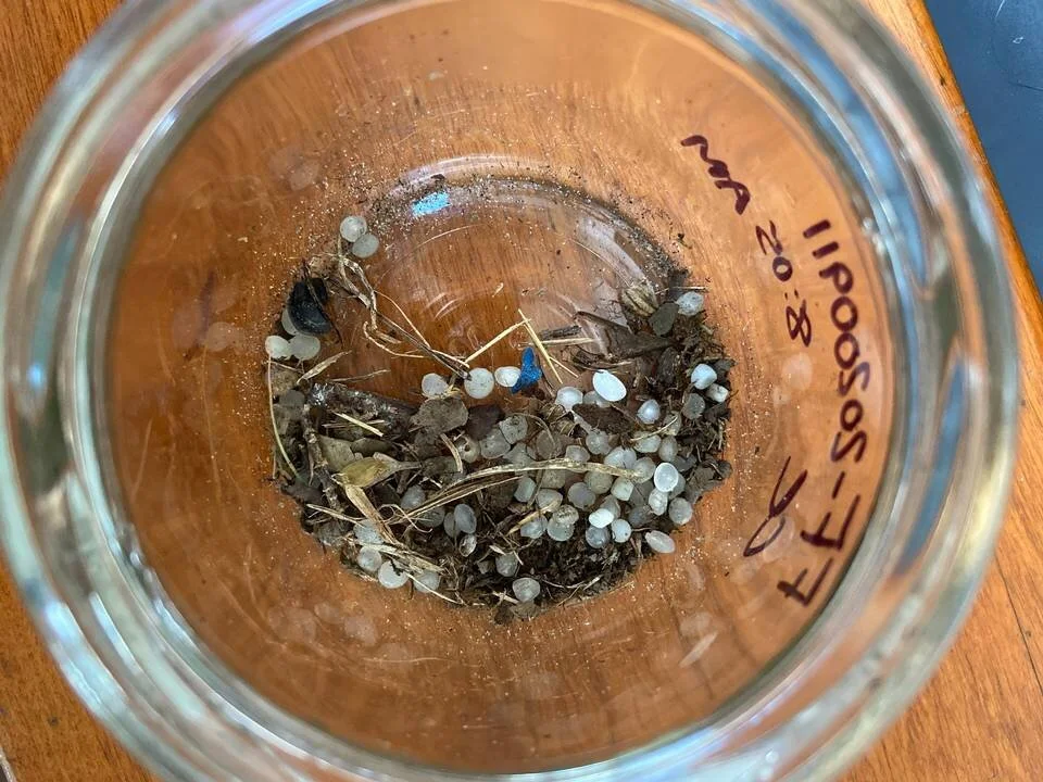 Company accused of plastic pollution agrees to pay SC nonprofits $1M in settlement
