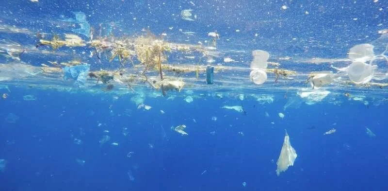 Think all your plastic is being recycled? New research shows it can end up in the ocean