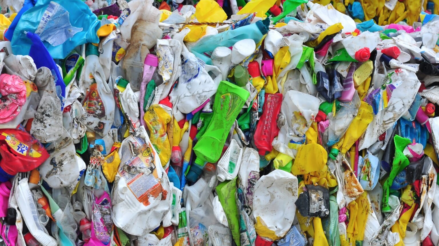 Stop exporting plastic waste out of Europe, EU lawmakers say