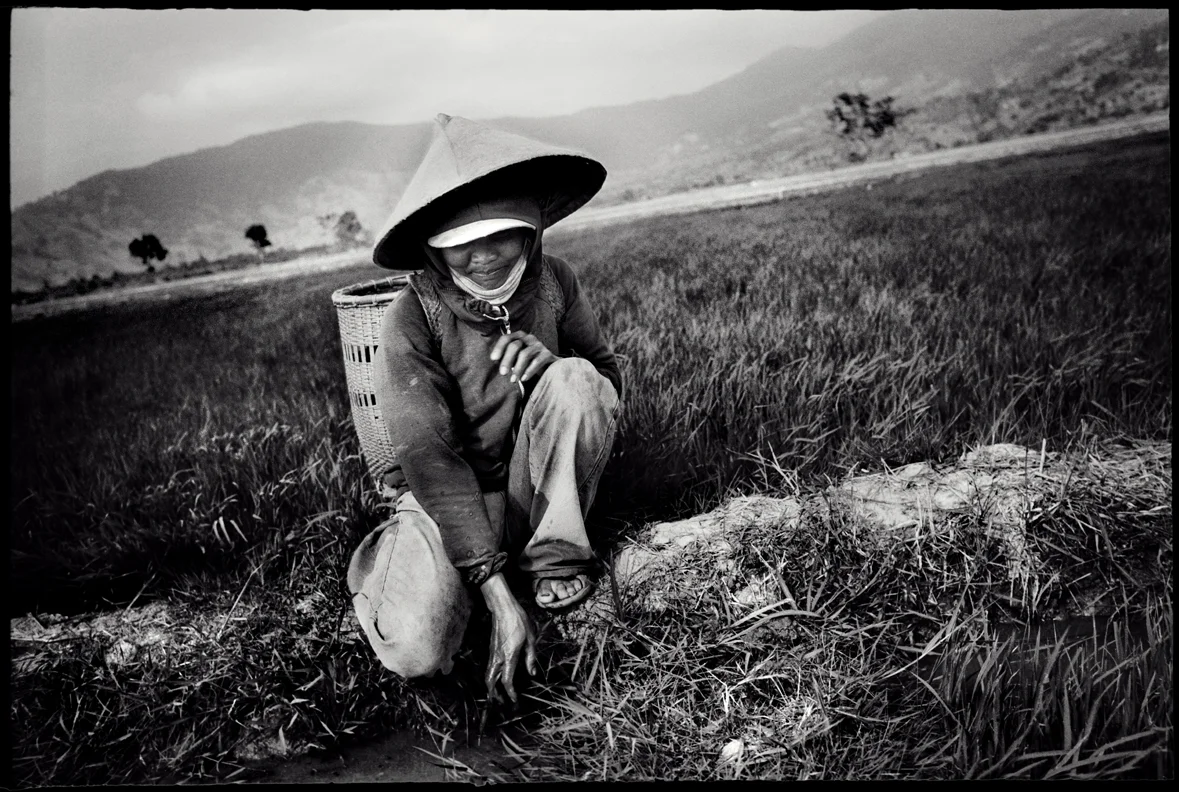 Central Highlands. Vietnam.