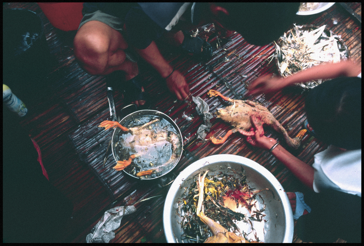Villagers skinning a chicken.