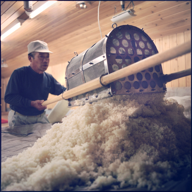 Preparing Koji rice.