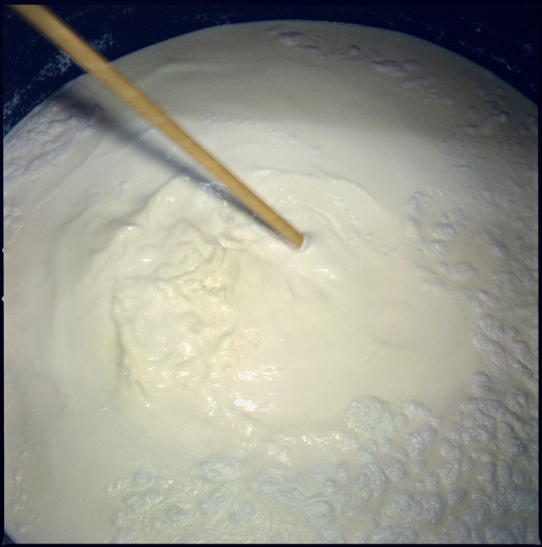 Moromi (Main fermentation mash).