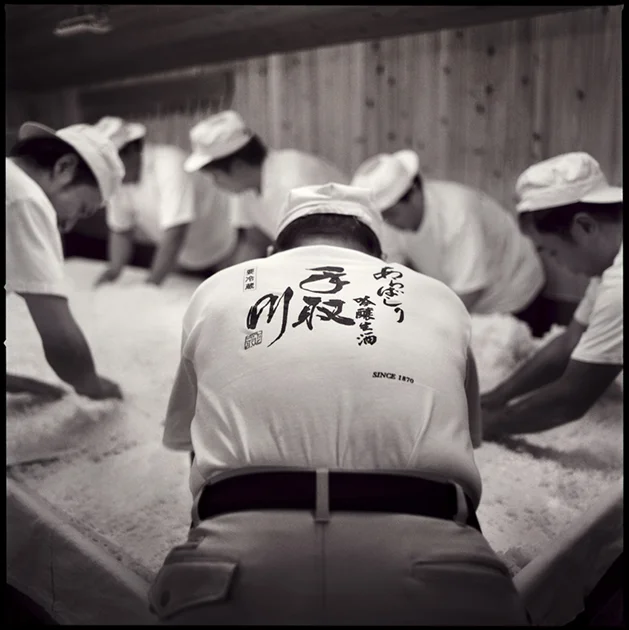 The Birth of Saké — Erik Shirai