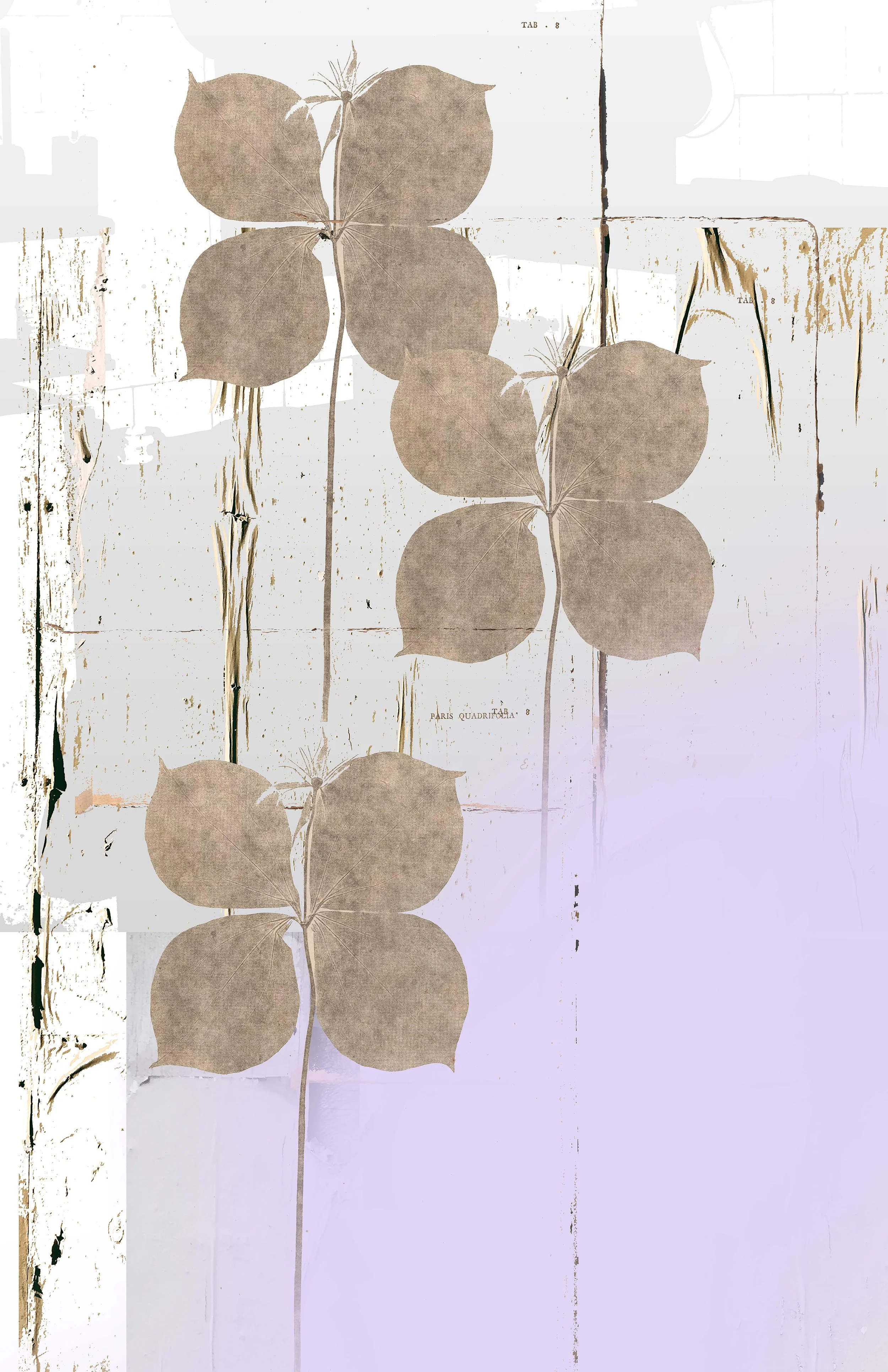 Constructs No. 9