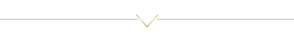 DIVIDER+3.png