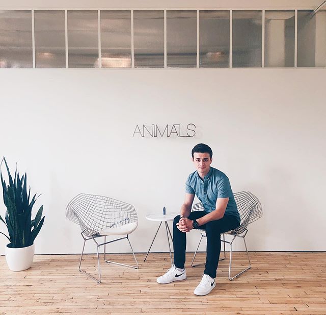 ANIMAL No. 4
.
.
.
.
.
.
.
.
.
#newdigs #animals #production