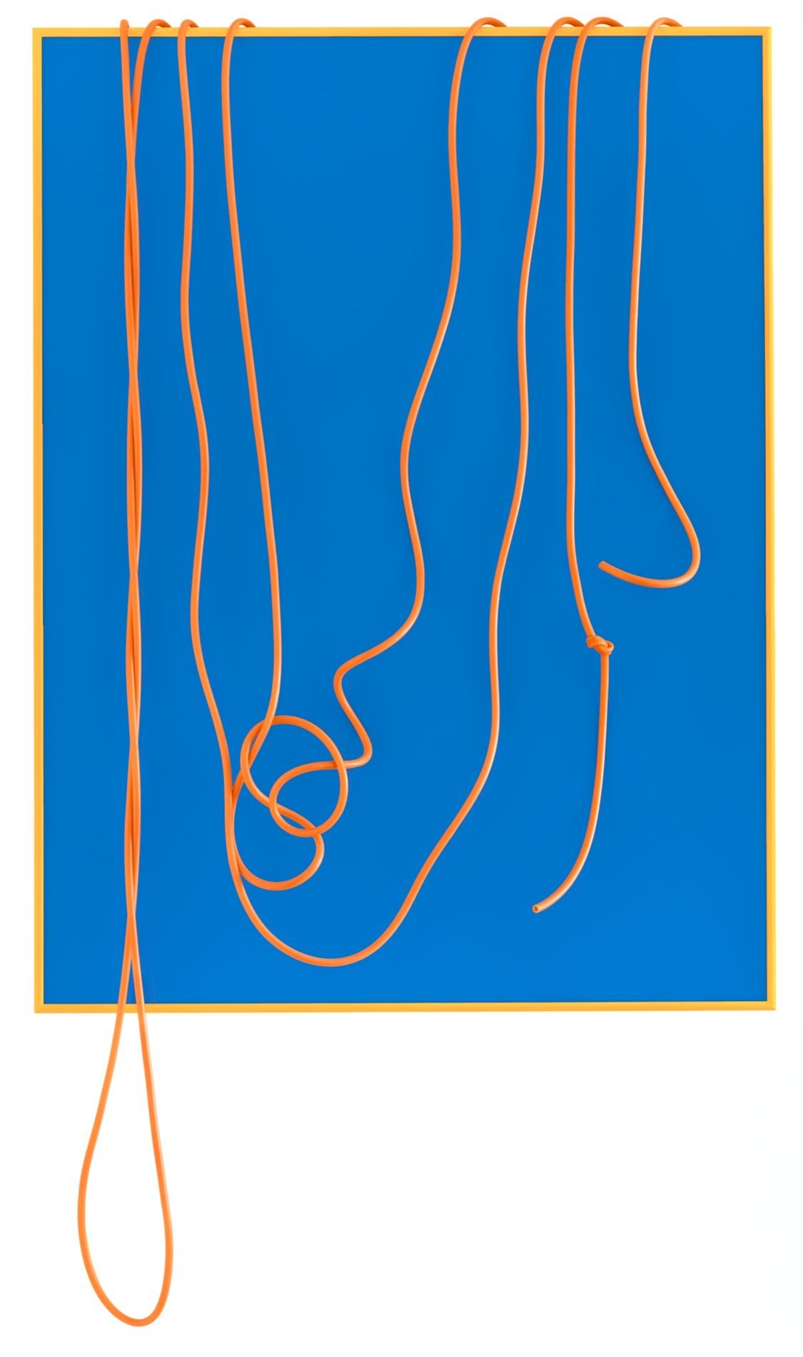 French Laundry , 2015/2025, Silicone Hose, Acrylic Sheeting and Aluminum Frame, 53 x 30 inches overall.