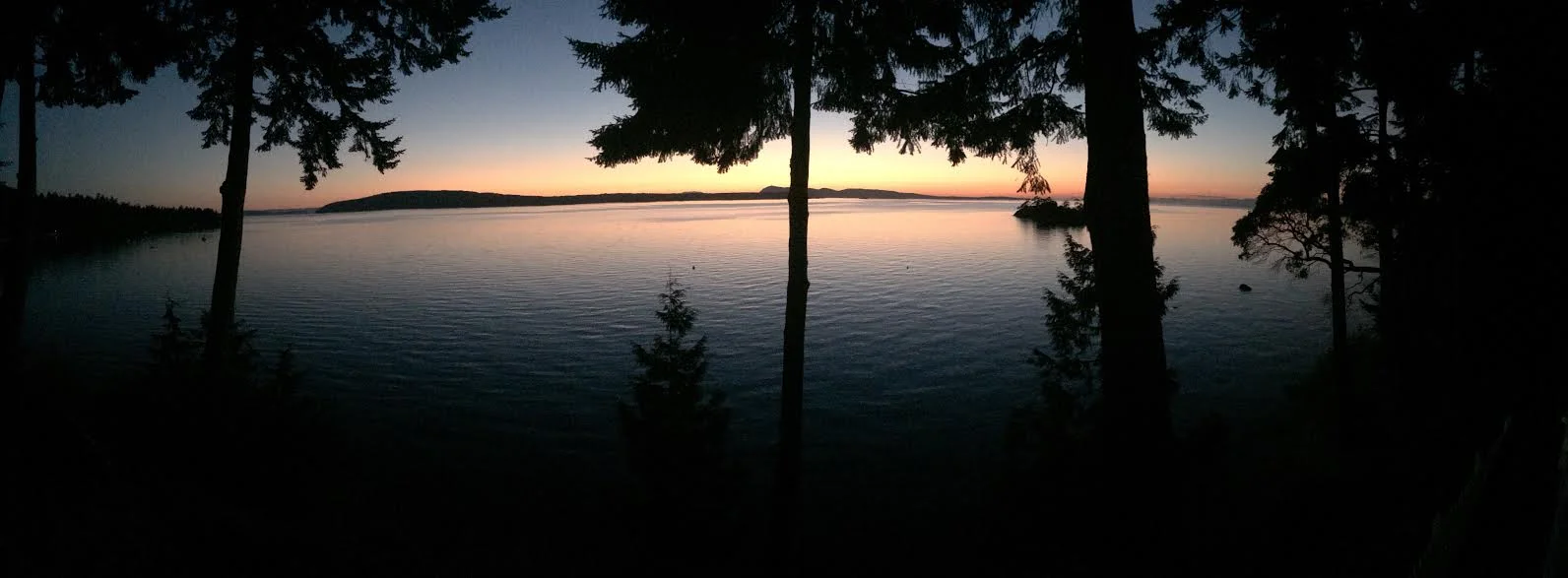 Orcas sunset